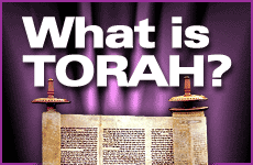 What Is Torah?
