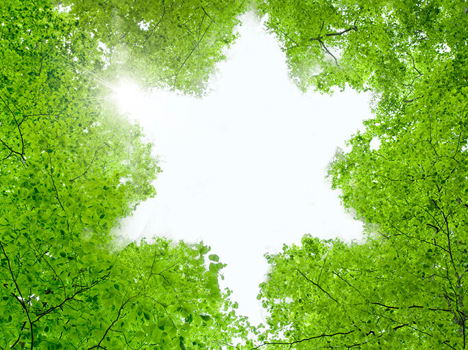 Judaism, Nature and the Environment