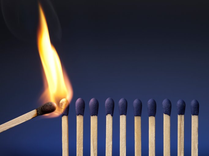 Lag B’Omer: Seizing Your Life’s Mission